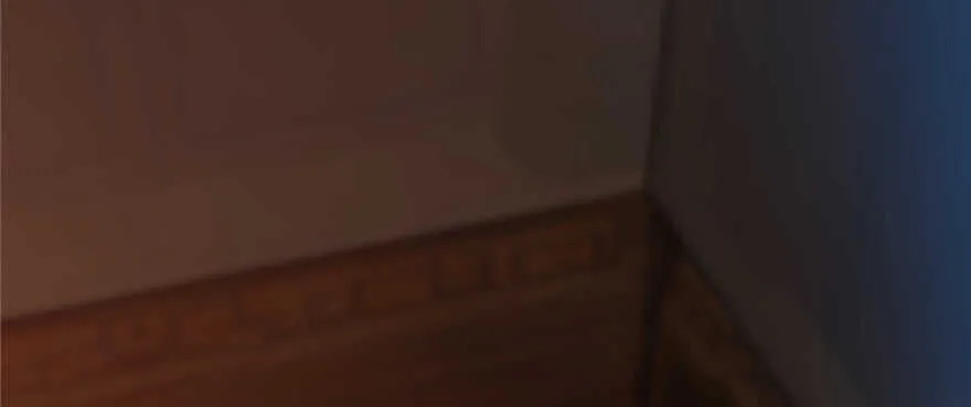 113 第110页