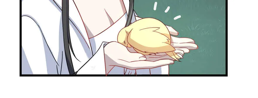 115 第95页