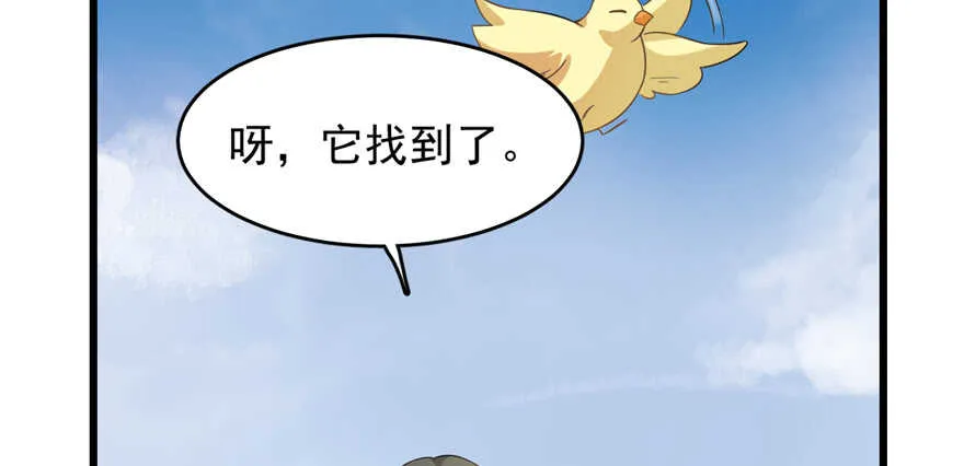 116 第13页