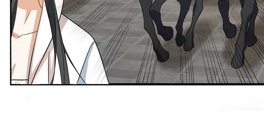 116 第48页