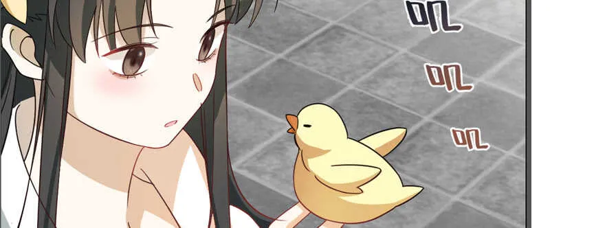 116 第75页