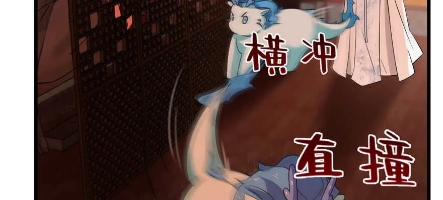 116 第85页