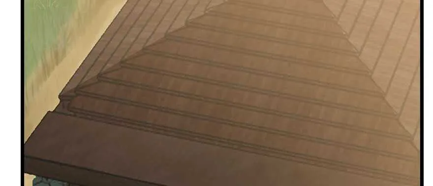 117 第96页