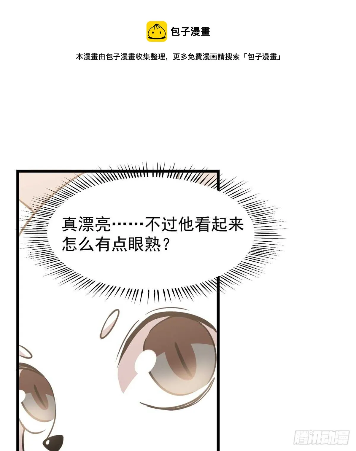 137 第41页
