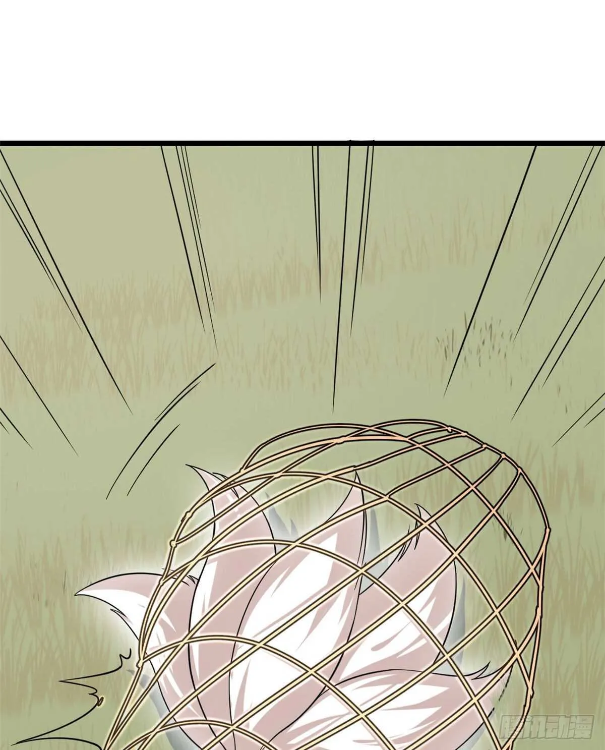 195 第16页