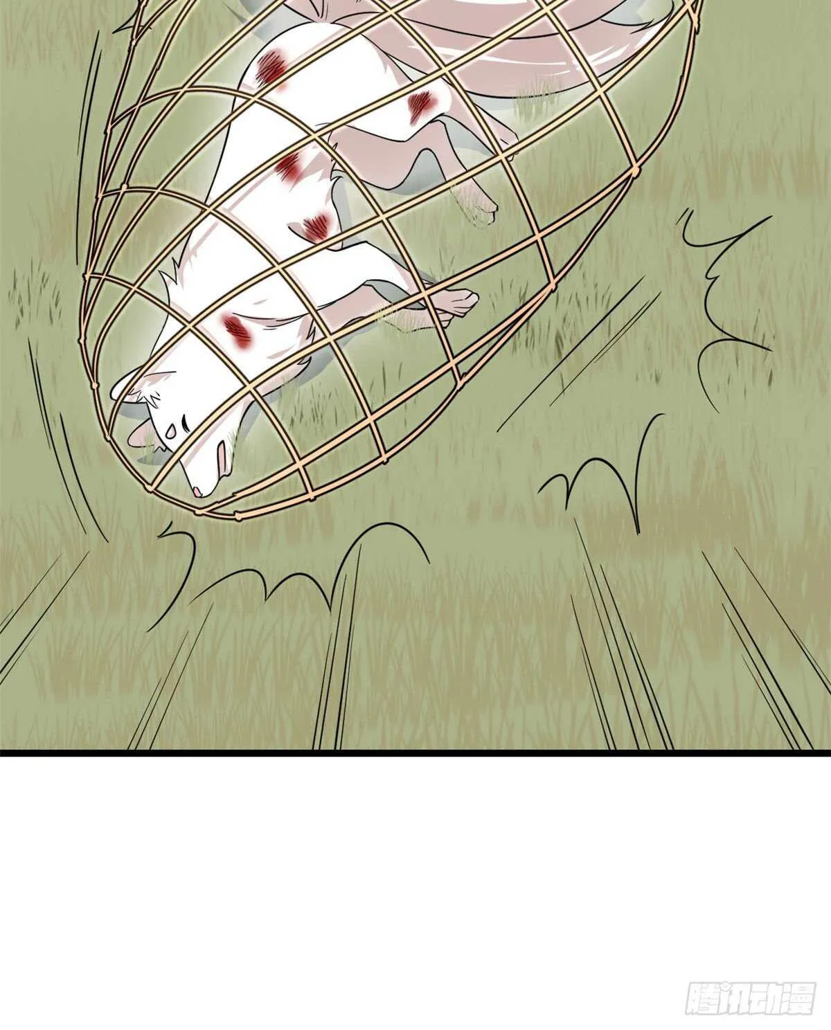195 第17页