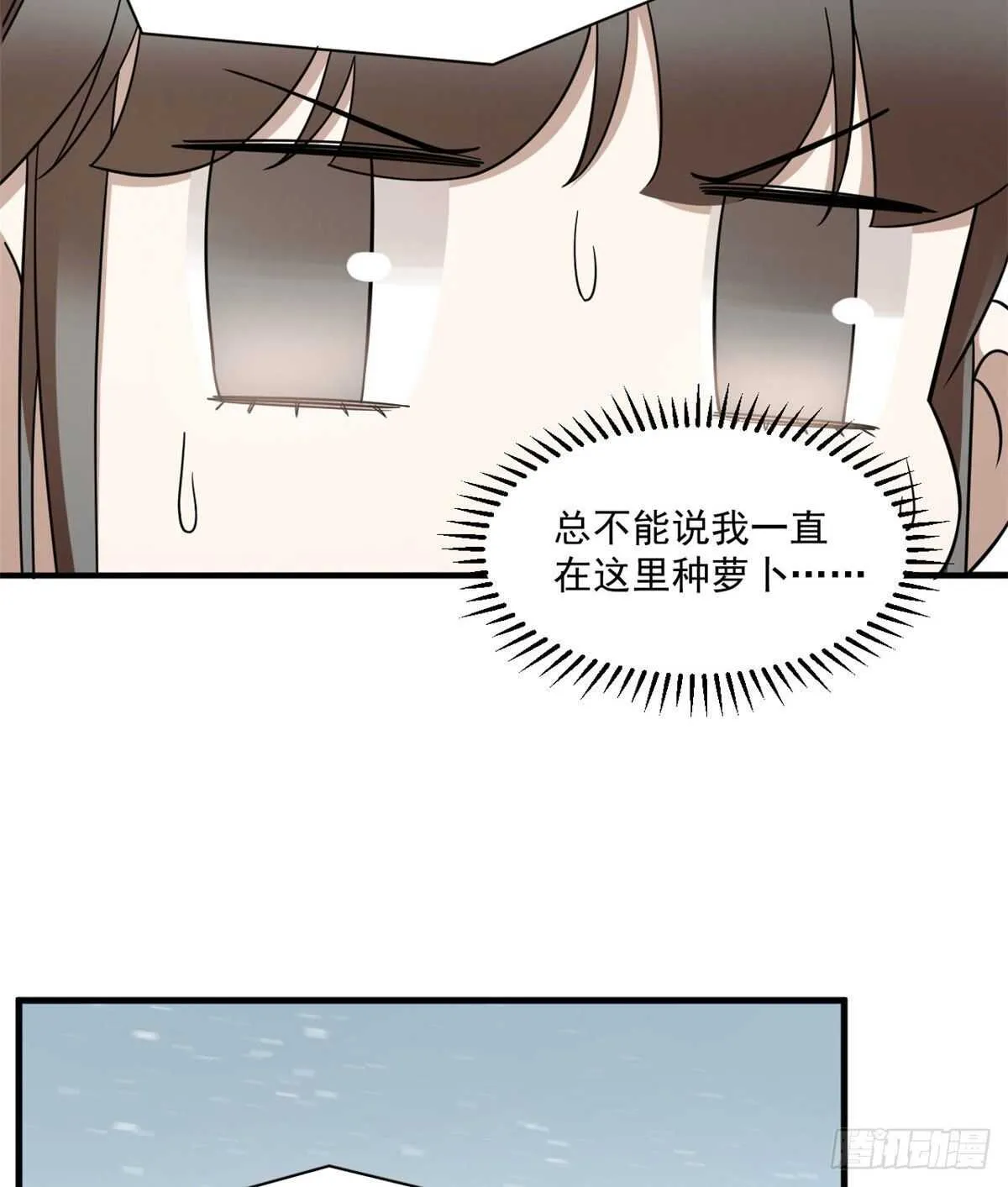 206 第17页