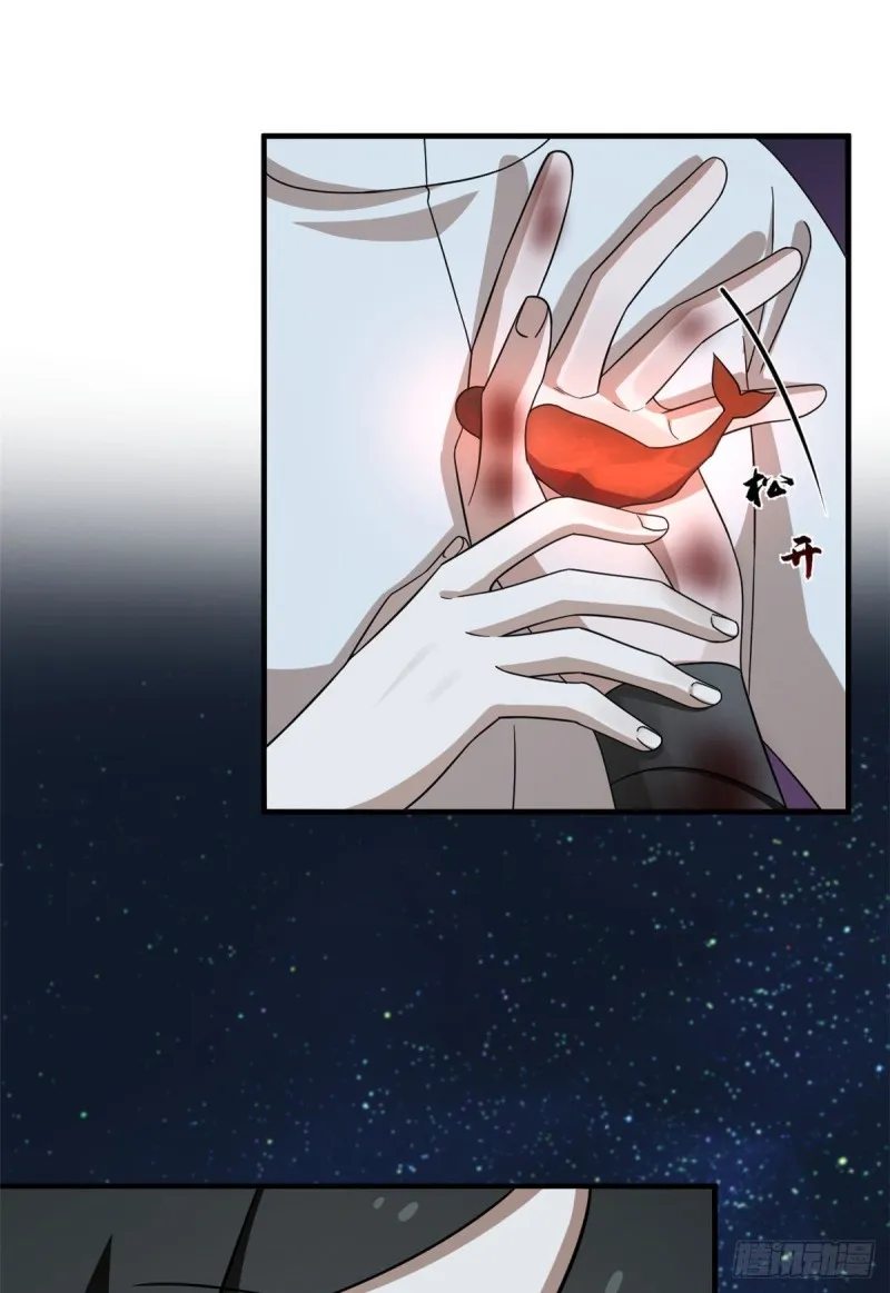 215 第7页