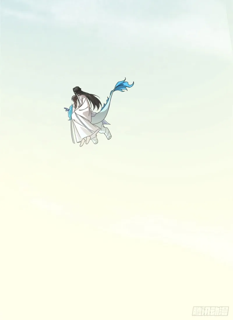 215 第43页