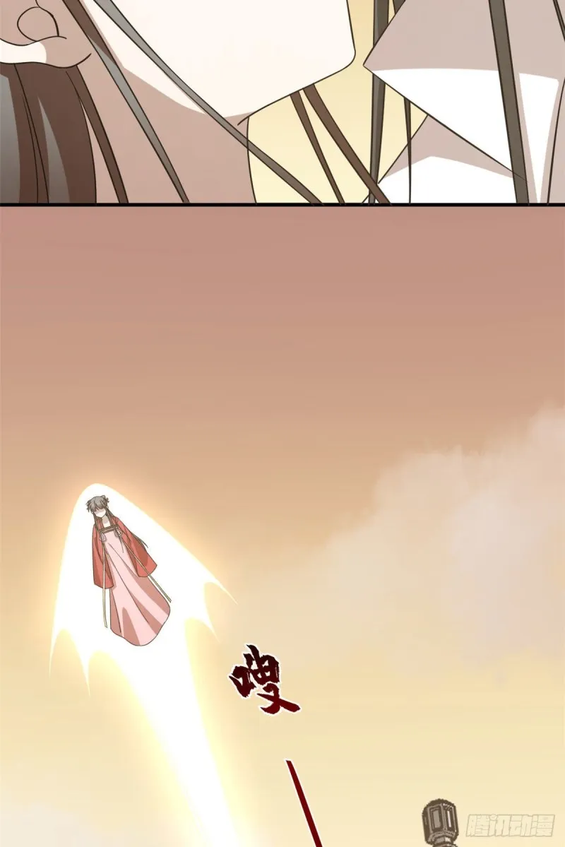 223 第29页