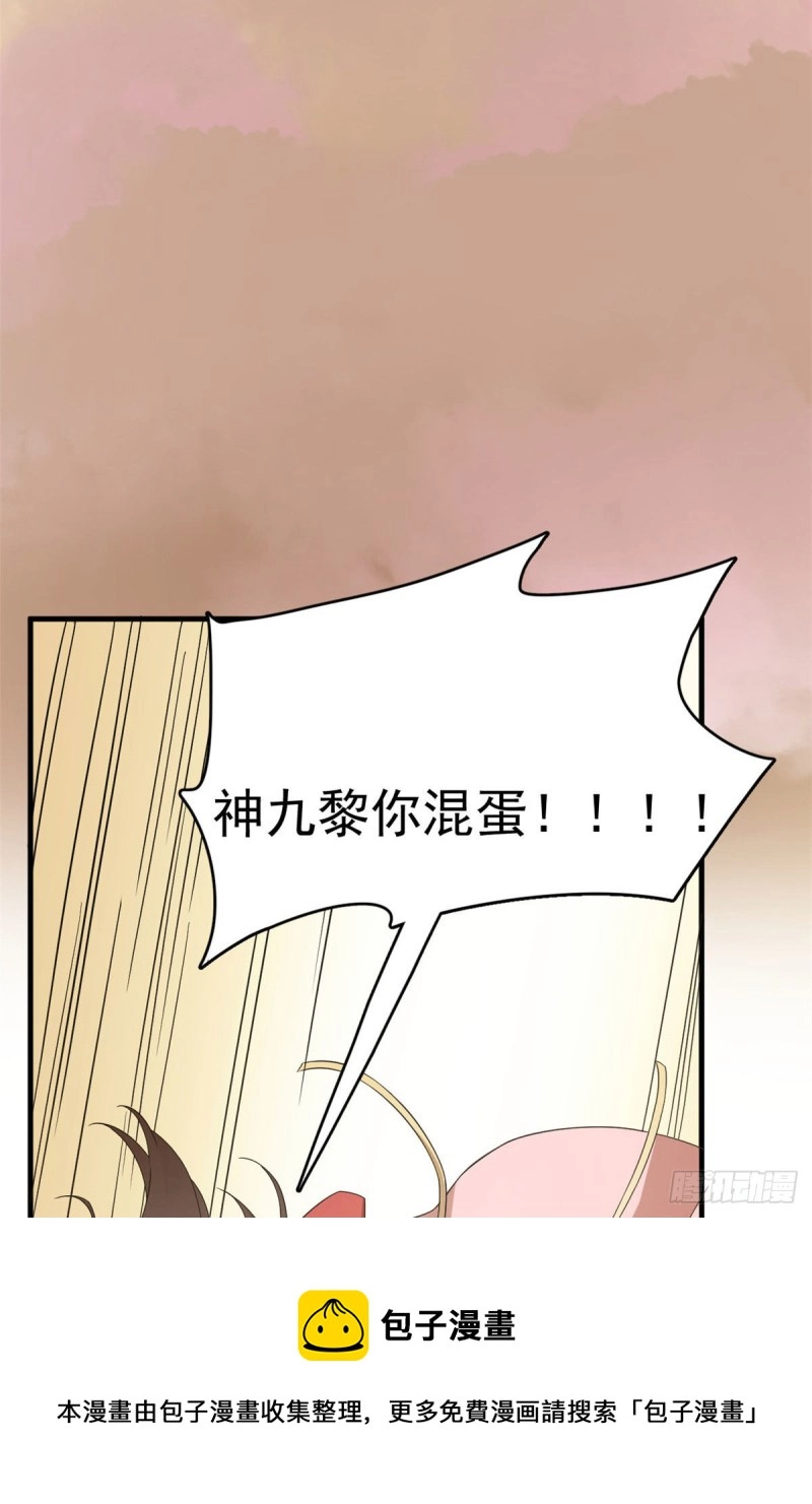 223 第31页