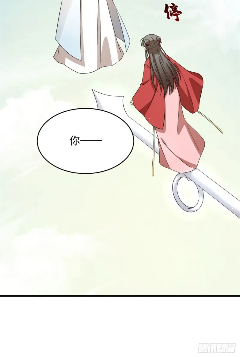 223 第42页