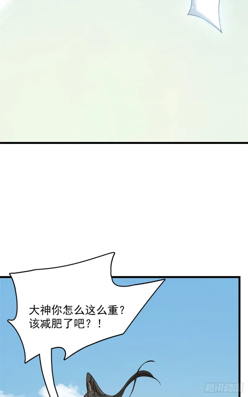 224 第3页