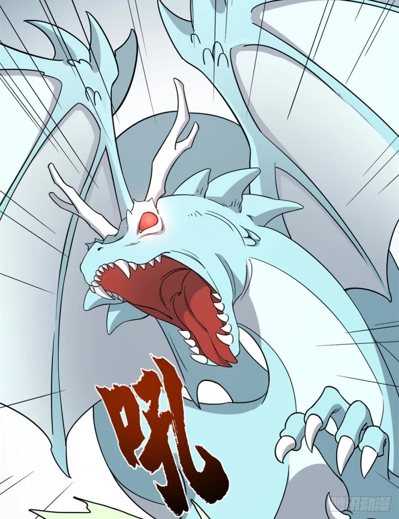224 第43页