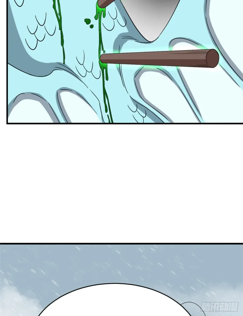 226 第42页