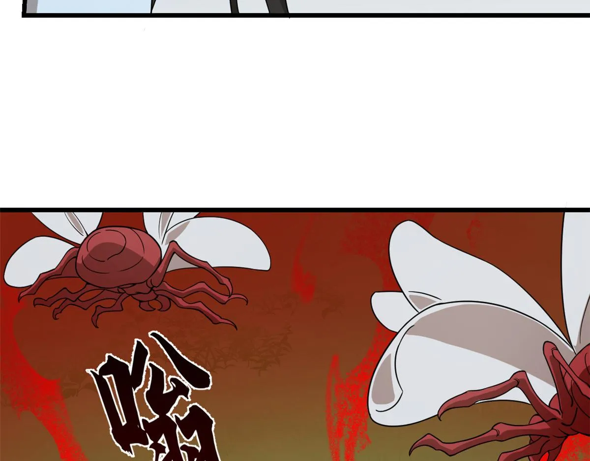 244 第65页
