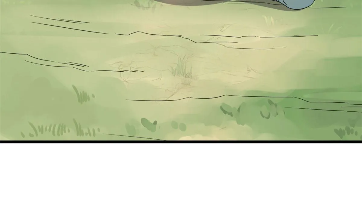264 第24页