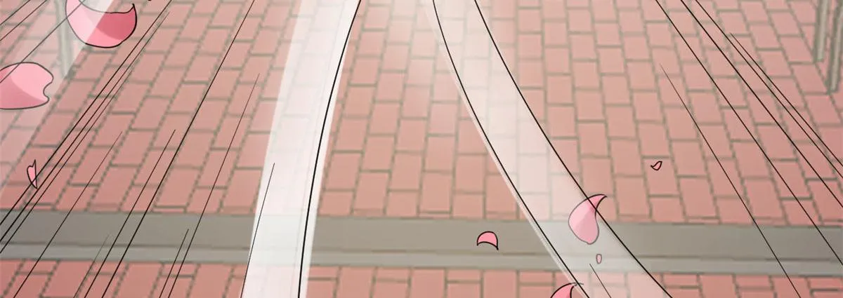 264 第68页