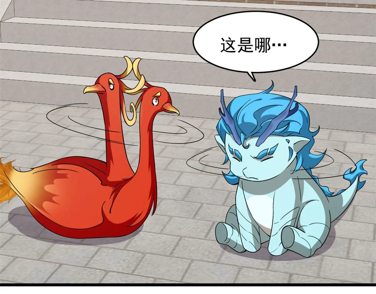 268 第55页