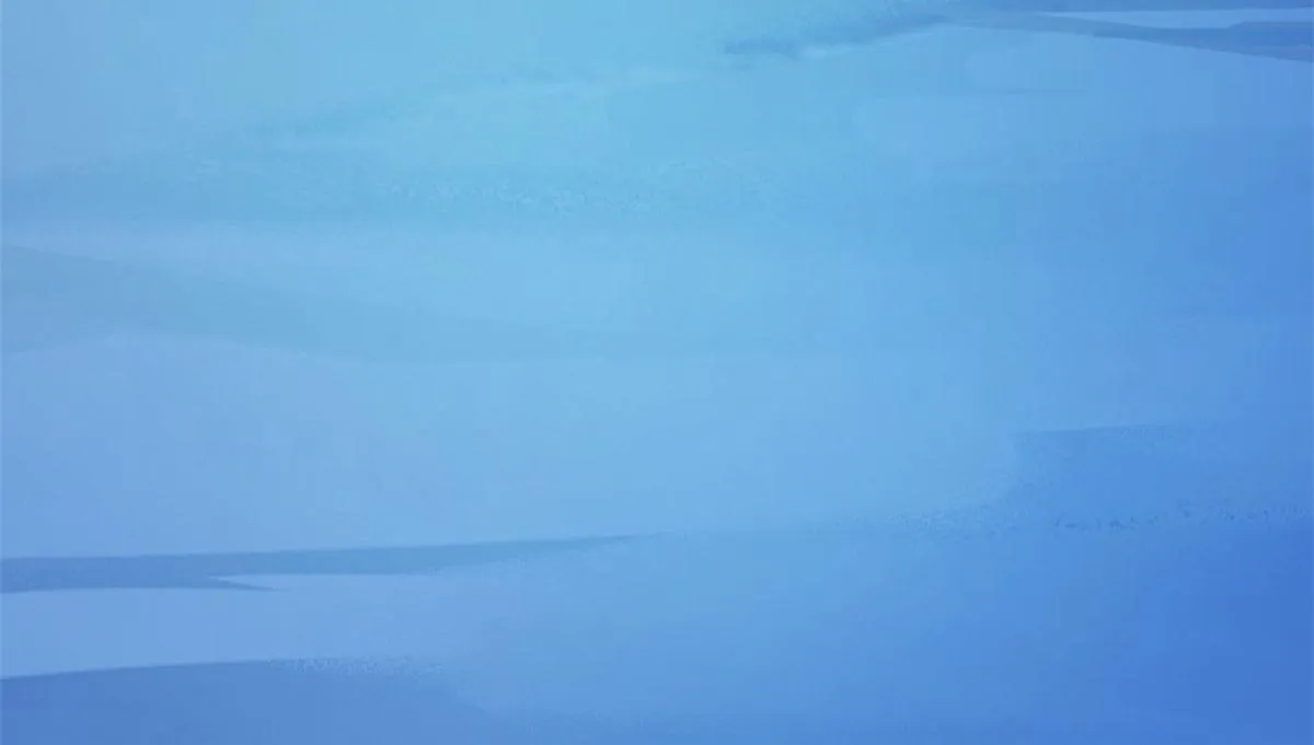 275 第110页