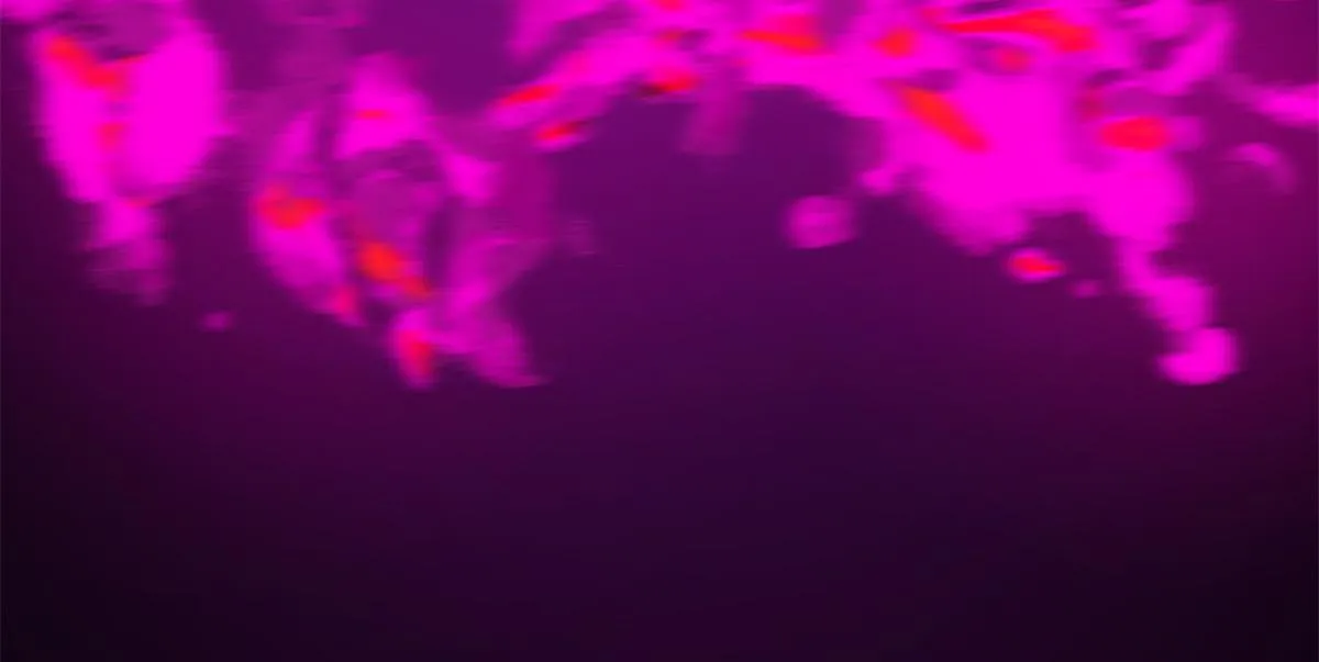 279 第30页