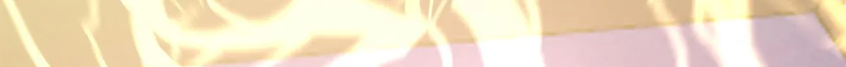 279 第95页