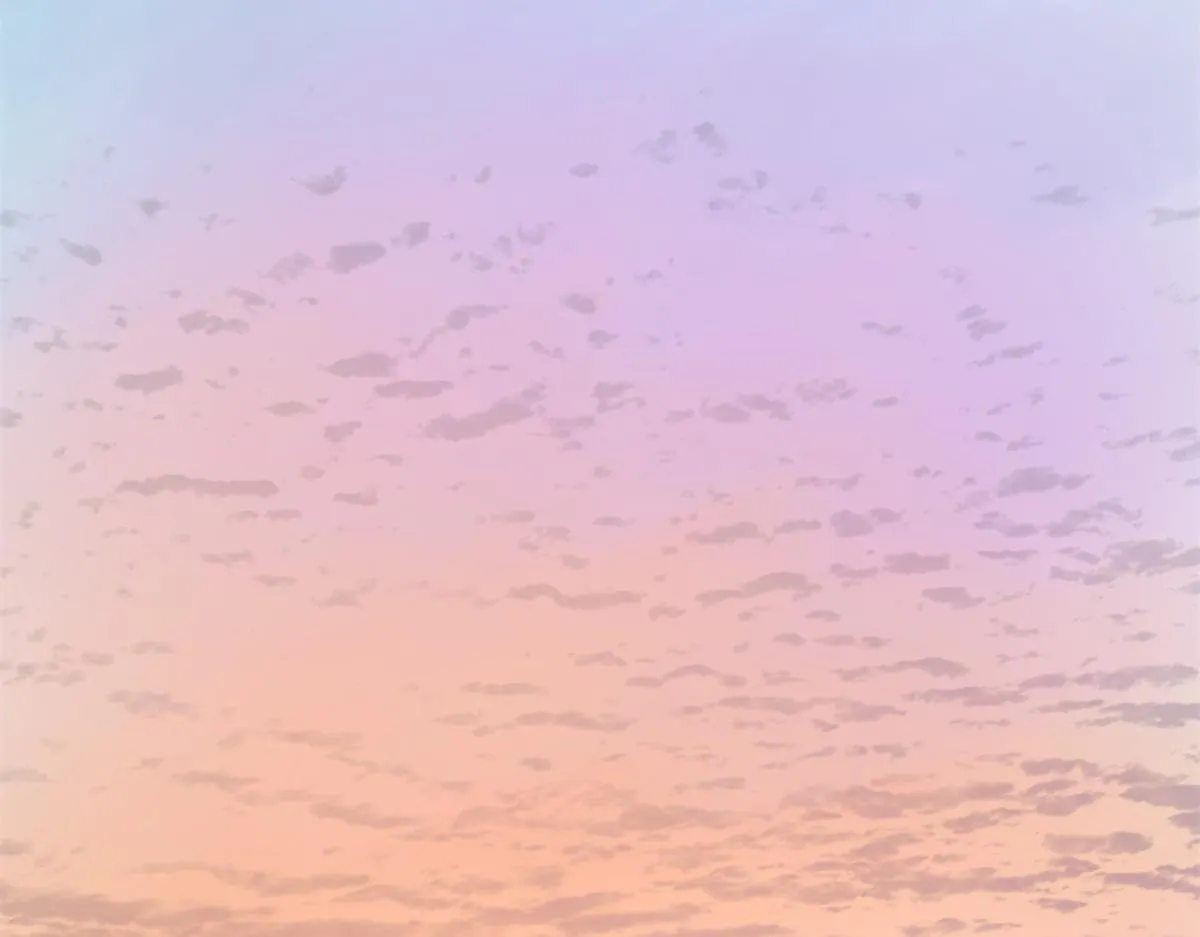 287 第45页