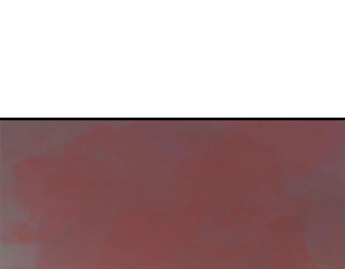 366 第3页