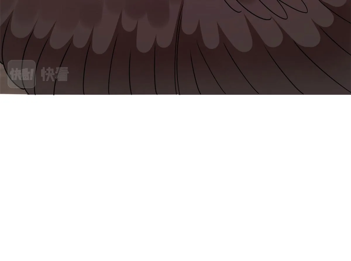 366 第114页