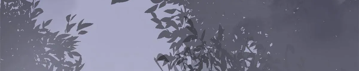 360 第79页