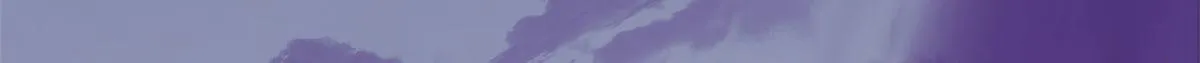 361 第50页