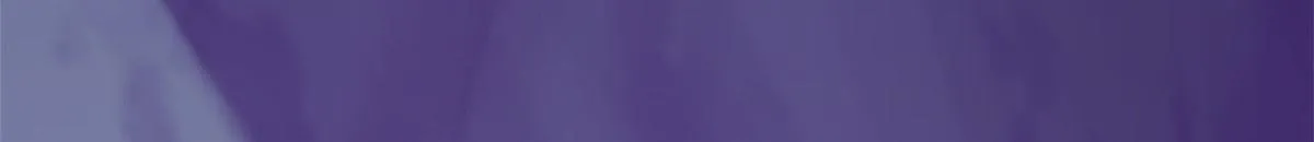 361 第56页