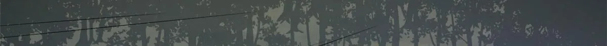 359 第98页