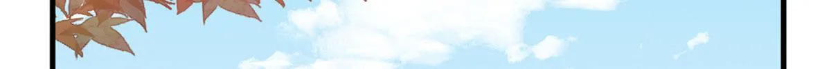 355 第5页