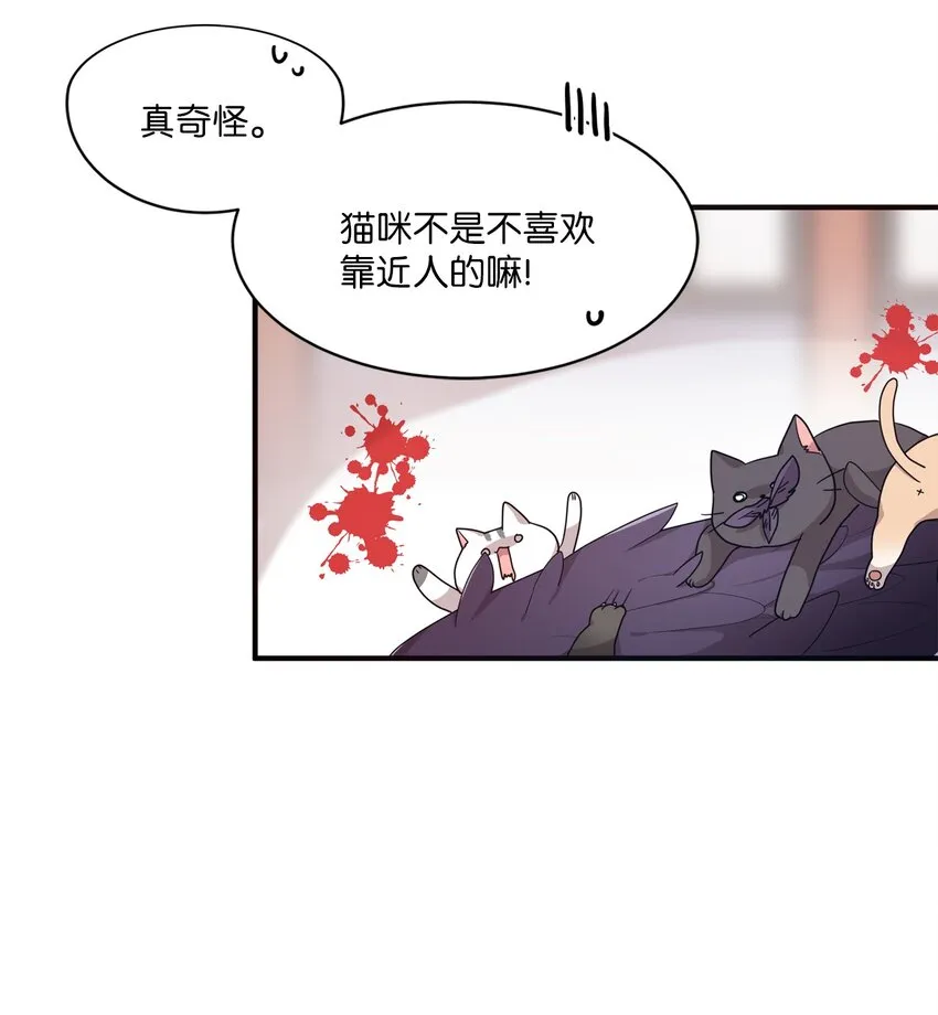 02 终于找到你 第13页