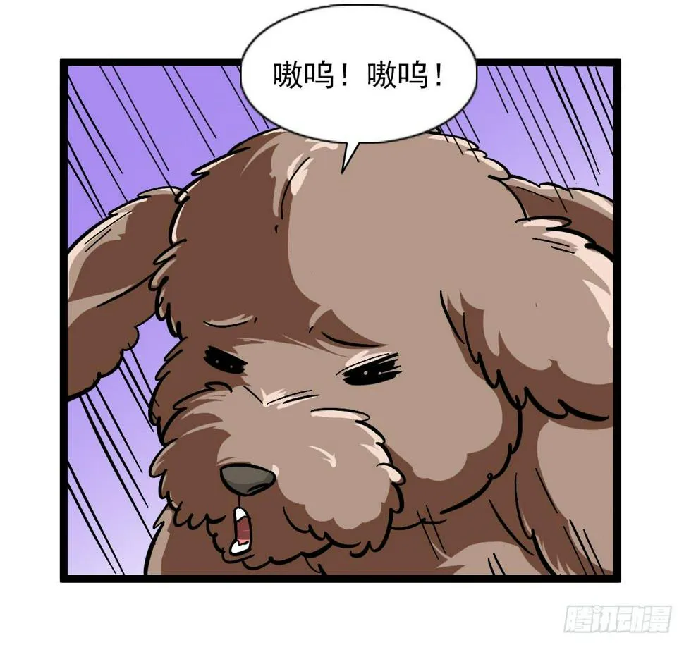 48 第20页