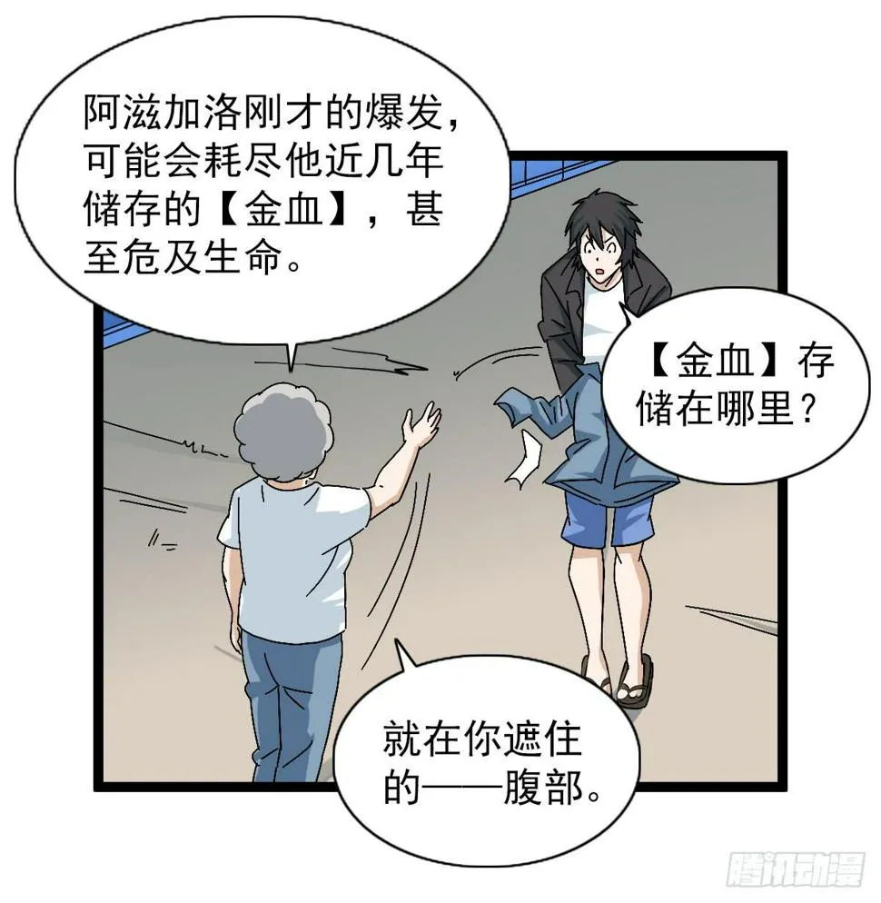 48 第47页