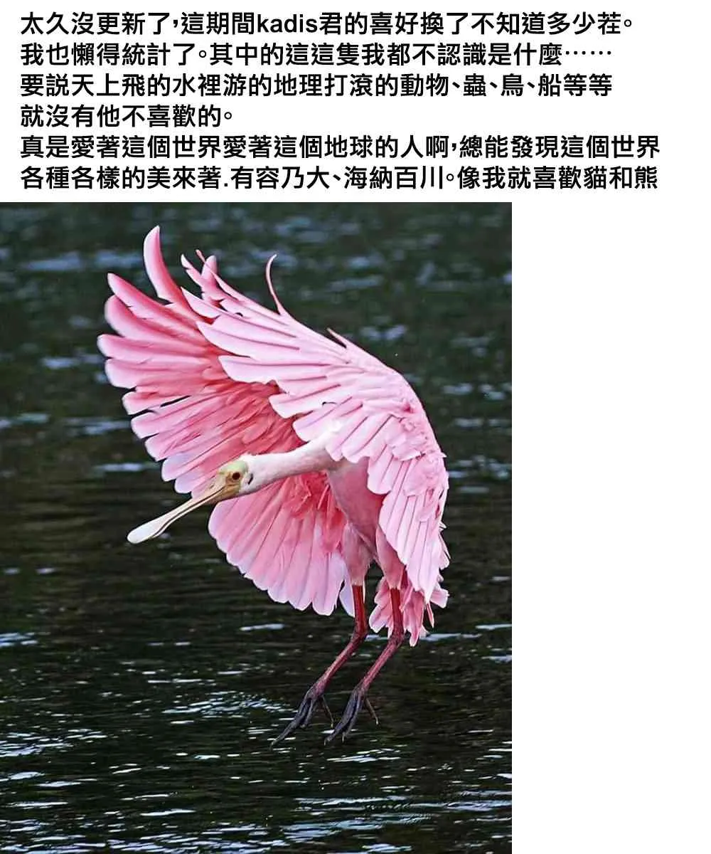 2话 第22页
