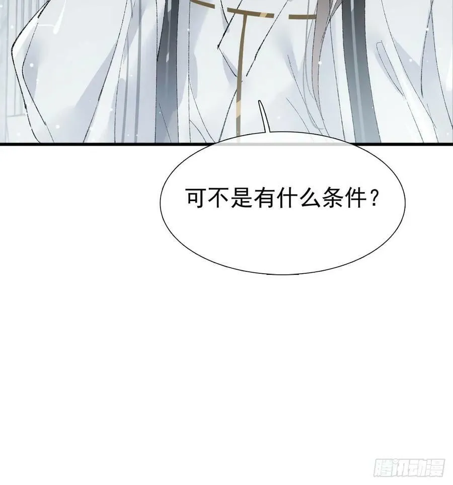 64 议和的条件 第28页