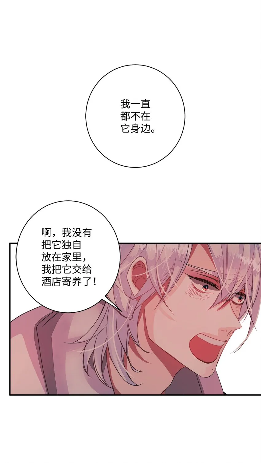 06 小狗的世界 第16页