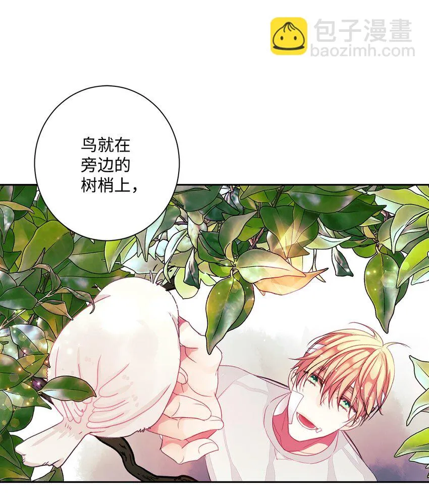 04 做你的忠犬 第5页