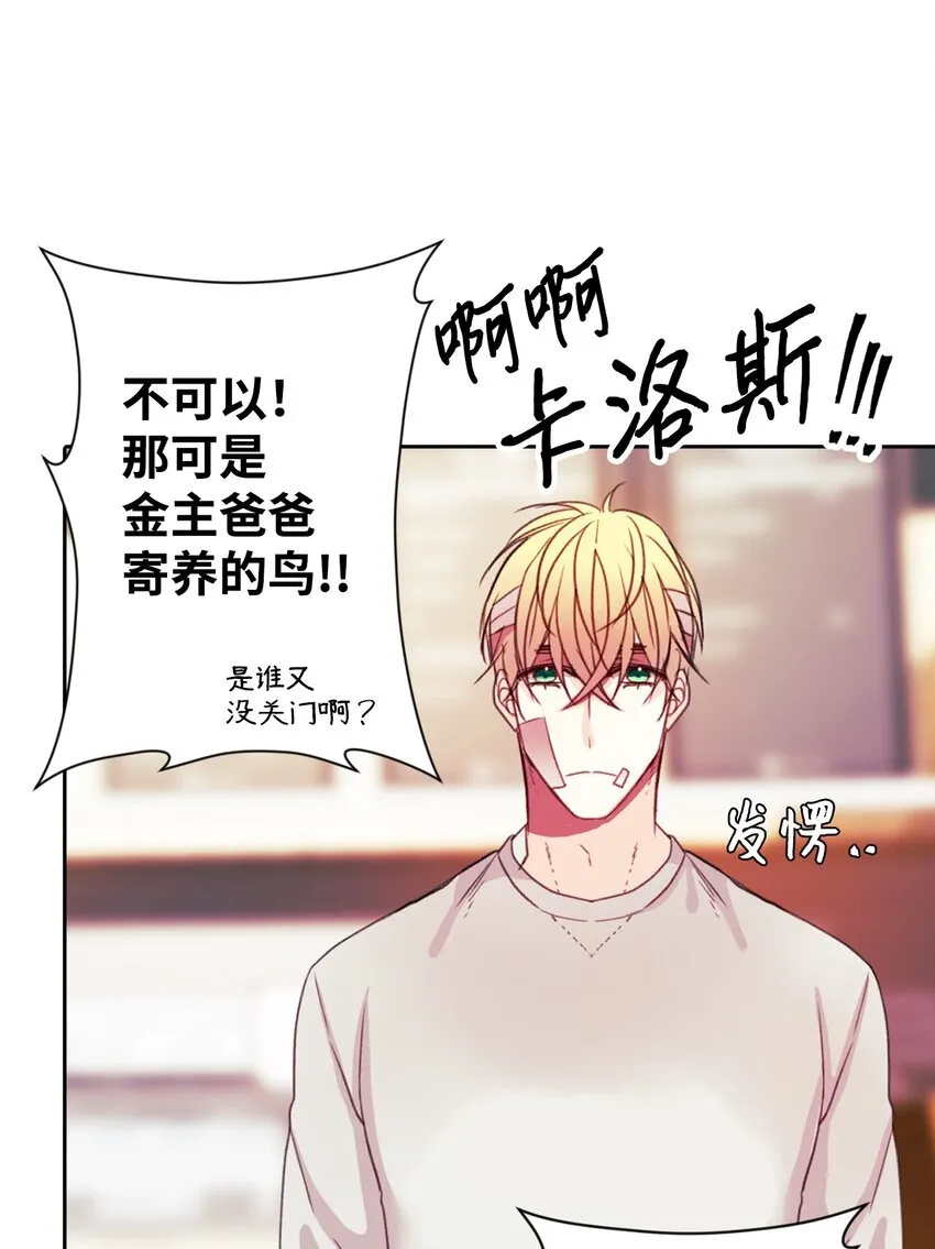 03 请求 第37页