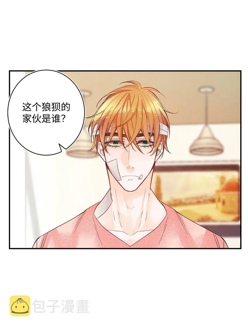 01 捡回来的金毛 第31页