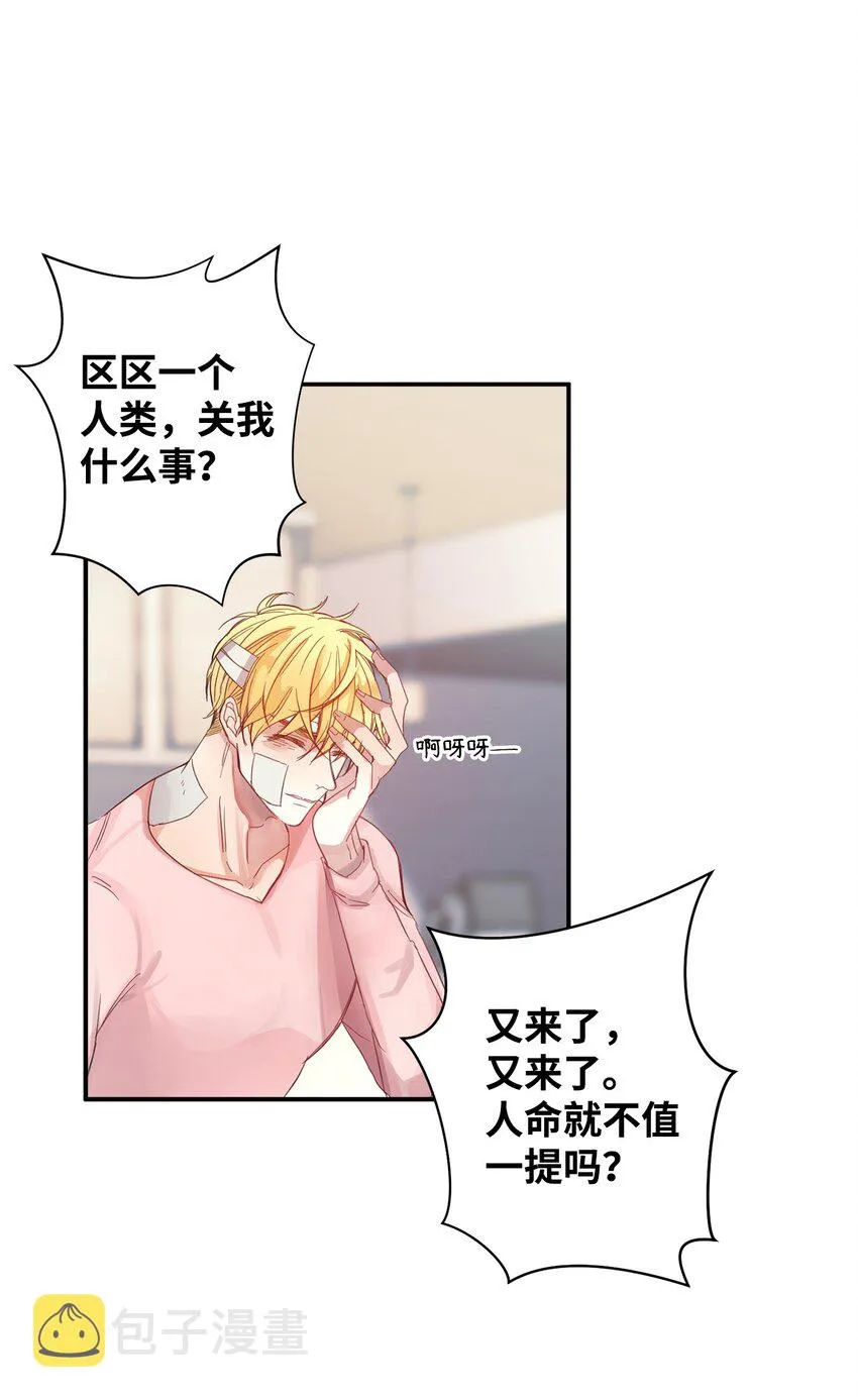 01 捡回来的金毛 第41页