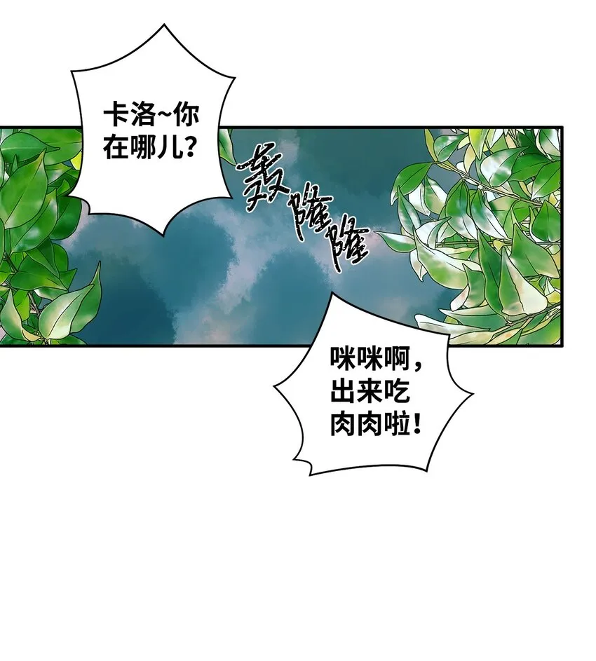 01 捡回来的金毛 第48页