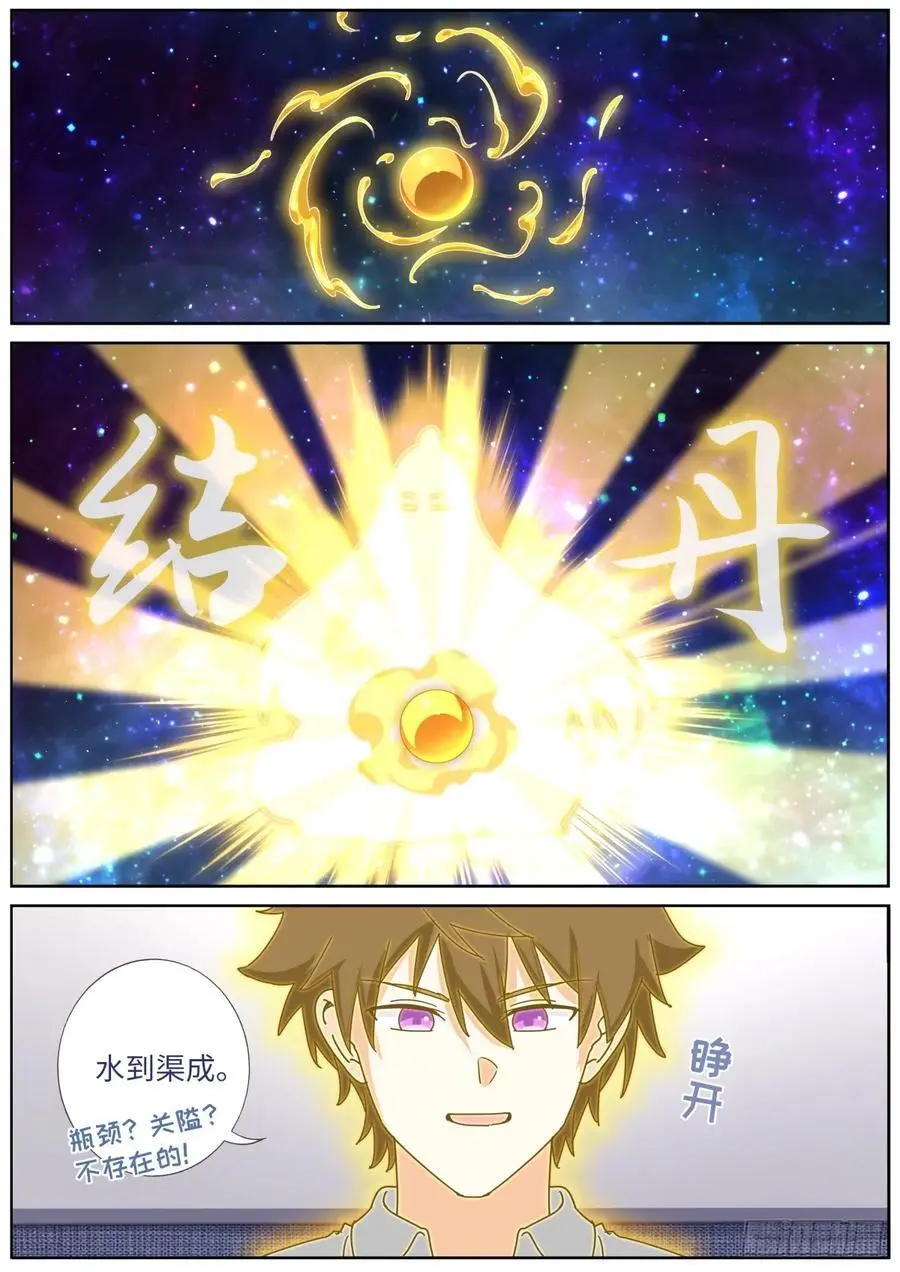 171 进阶，金丹！ 第14页