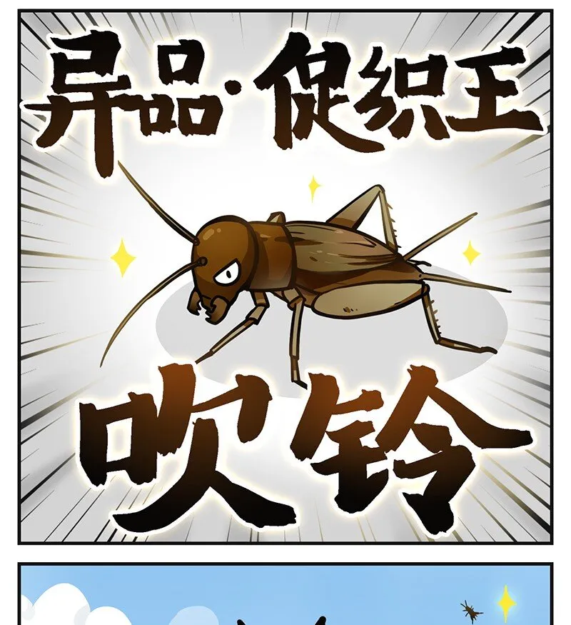 015 决战促织王是一种什么体验 第3页