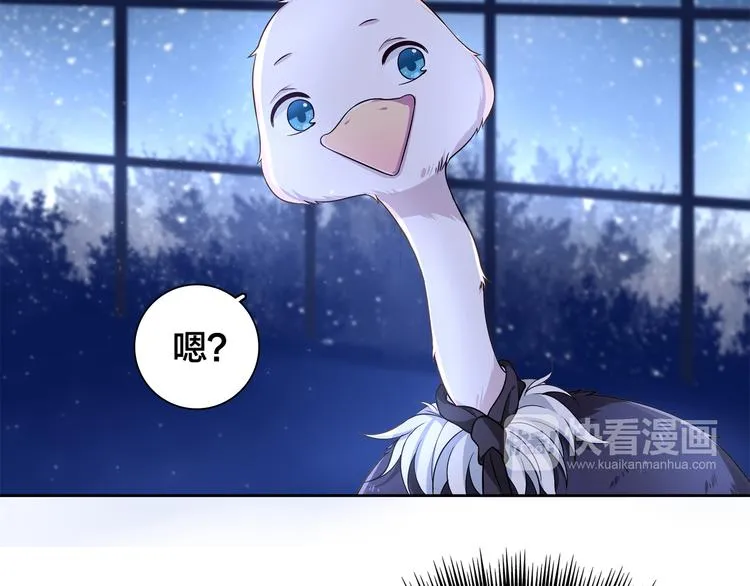 第10话 亡命天涯？？ 第5页
