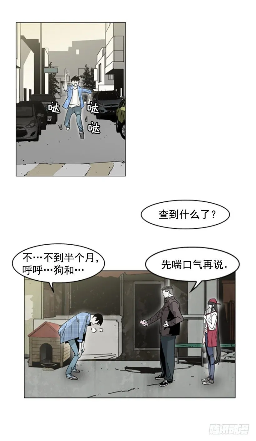 失踪的狗 第6页
