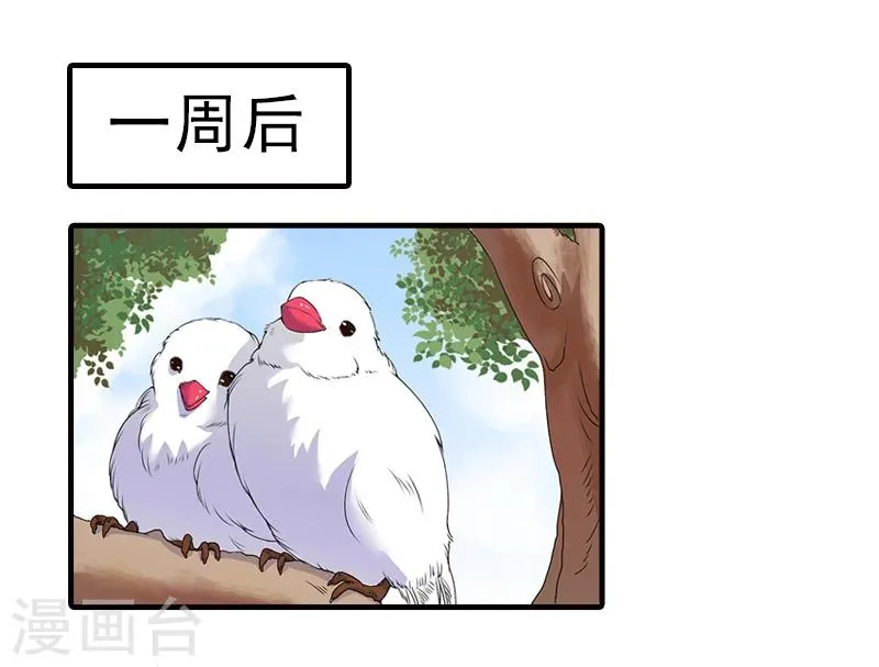 第13话 我喜欢你！ 第19页